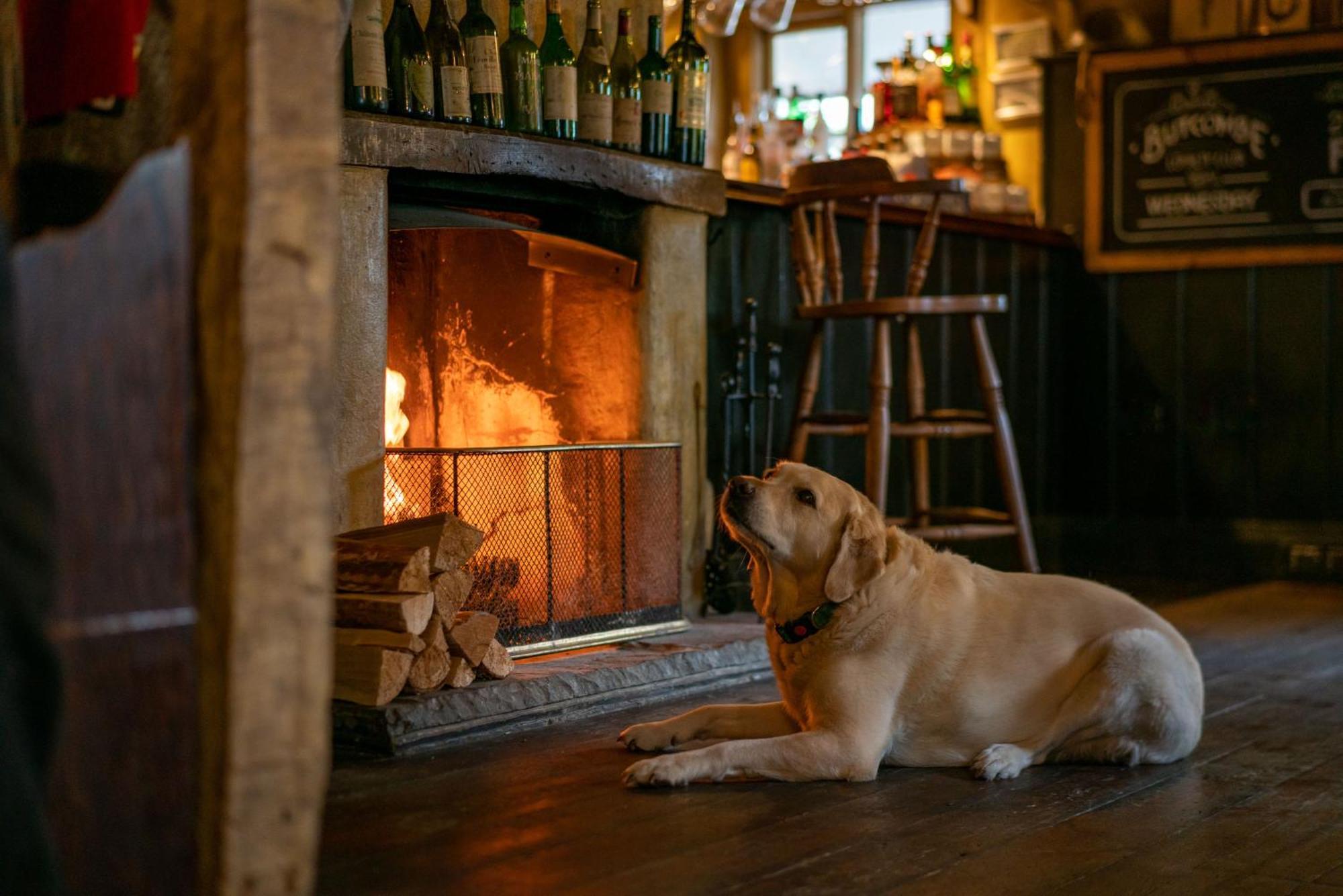 The Anchor Inn Lower Froyle エクステリア 写真