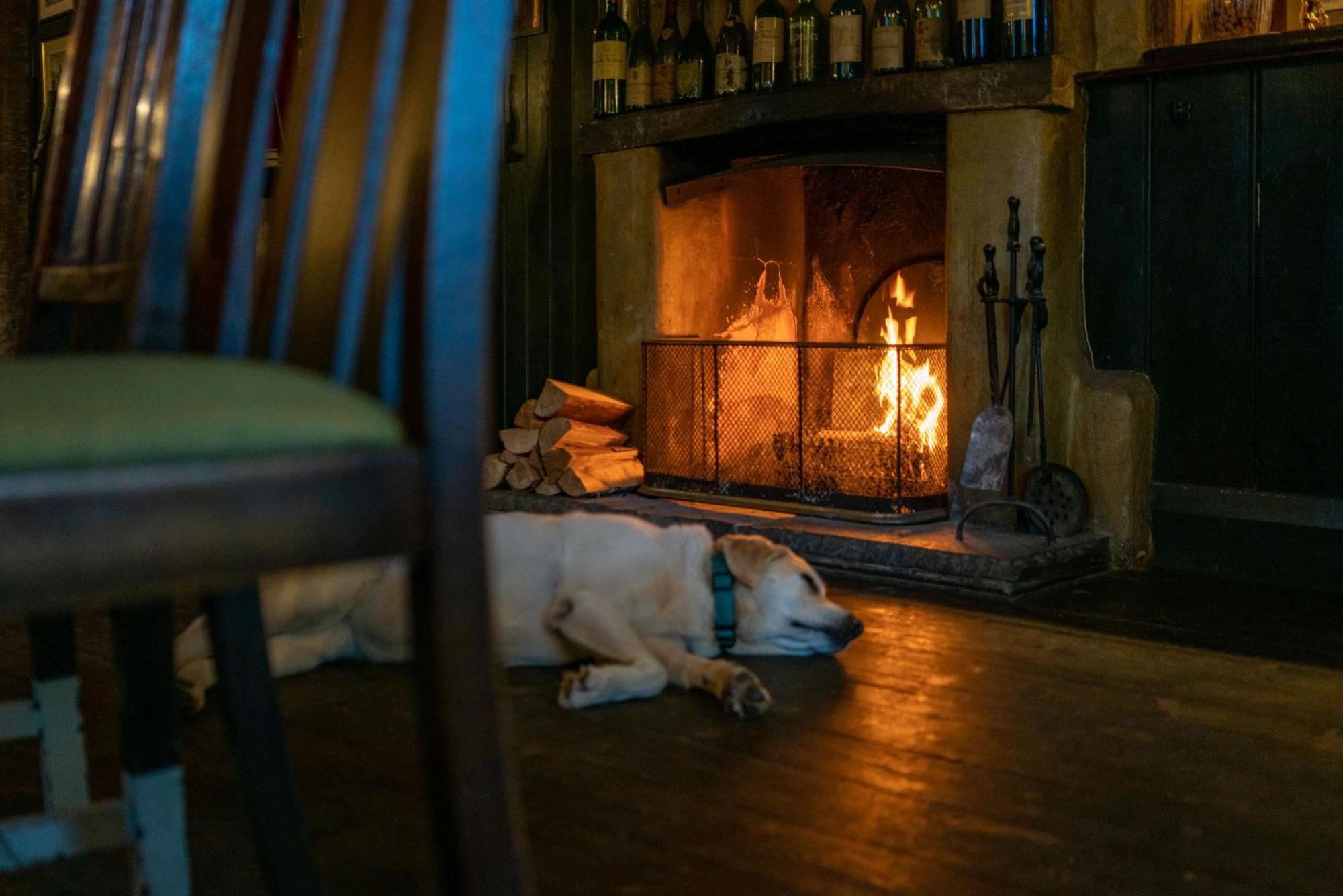 The Anchor Inn Lower Froyle エクステリア 写真